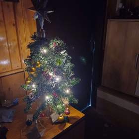 Fotka k inzerátu vanocni stromecek / 19363371