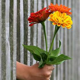 POTŘEBUJEŠ SI PŘIVYDĚLAT? ?  🌸  TEL. 704262685 🌸   / 19655669