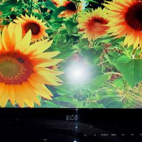 Foto inzerátu TV ECG + settopbox Sencor + 41ks DVD