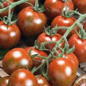 Foto inzerátu Rajče Tigrino - semena