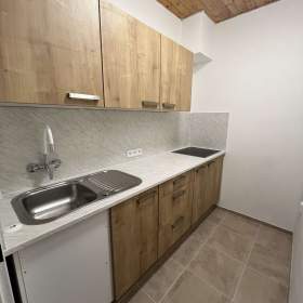 Pronájem bytu 1+1 / 19658583