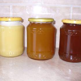 Fotka k inzerátu MED / 17377073