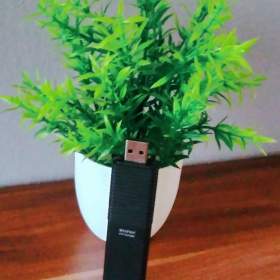 LeadTek WinFast DTV Dongle / 19661686