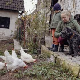 Foto inzerátu FILÍPEK - 15 kg, kastrovaný psík 12 let 