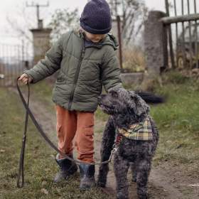 Foto inzerátu FILÍPEK - 15 kg, kastrovaný psík 12 let 