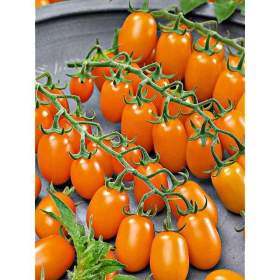 Fotka k inzerátu Rajče Dattorange F1 -  semena / 19426617