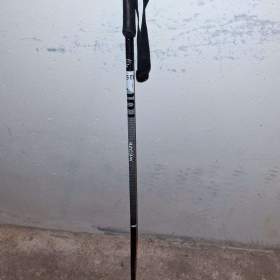 Foto inzerátu Lyže, hůlky Salomon 