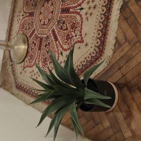 Fotka k inzerátu Dlouhodobě pronajmu jedné slušné pracující osobě garsoniéru 28 M2 plochy s balkóne / 19655988