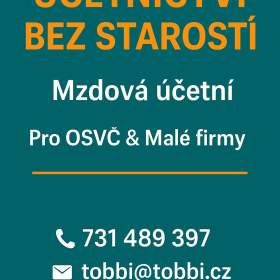 Fotka k inzerátu Účetnictví bez starostí / 19655719