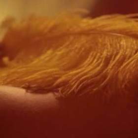 Fotka k inzerátu TM / 18712039