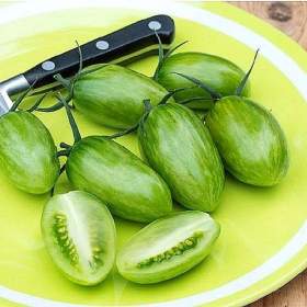 Rajče Artisan Green tiger - semena / 19667375