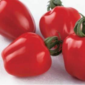 Rajče Appleberry F1 RED - semena / 19667398