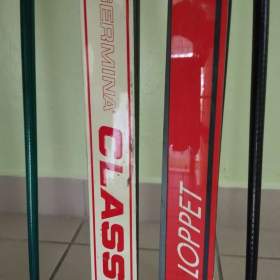 Foto inzerátu Sjezdové boty nadměrná vel. 46. Běžky Rossignol, hůlky. Doplňky zdarma