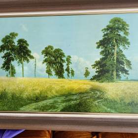 Fotka k inzerátu Obraz / 19149311