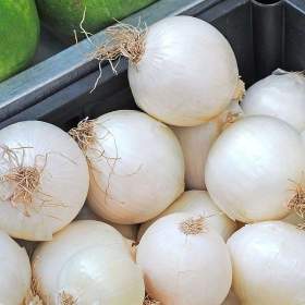 Fotka k inzerátu Cibule Avalon -  semena / 19668878