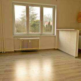 Pronájem, byt 1+kk, 22 m2, Ostrava- Hrabůvka, ul. Krakovská / 19670032