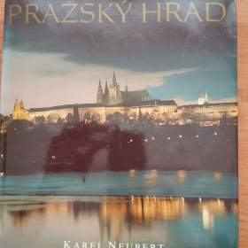 Foto inzerátu 1 za 100 Kč a 1 další dle výběru zdarma
