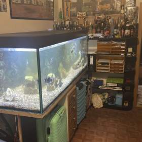 Prodej akvário / 19670734