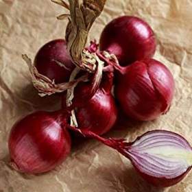 Fotka k inzerátu Cibule Scarlet -  semena / 19669975