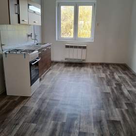 Foto inzerátu Pronájem bytu