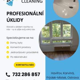 Fotka k inzerátu Zebra Cleaning – profesionální úklid  / 14215324