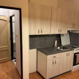 Fotka k inzerátu pronájem bytu / 19488160