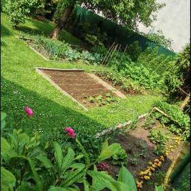 Foto inzerátu Prodej, prodej na splátky rodinný dům Jesenice u Prahy