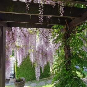 Foto inzerátu VISTÁRIE