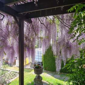 Foto inzerátu VISTÁRIE