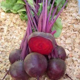 Fotka k inzerátu Červená řepa salátová Betina -  semena / 19462636