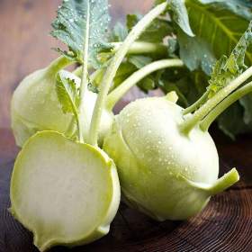 Fotka k inzerátu Kedluben Delikates -  semena / 19462636