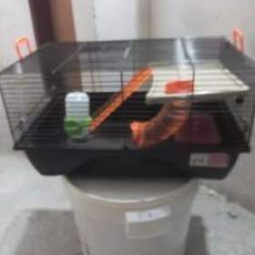 Fotka k inzerátu Klec pro hlodavce  / 19671776