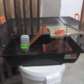 Foto inzerátu Klec pro hlodavce