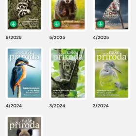 Fotka k inzerátu E- časopisy / 19478907