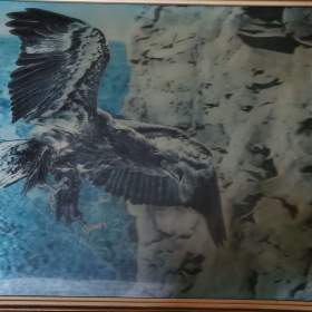 Foto inzerátu Prodám 3D obraz orla