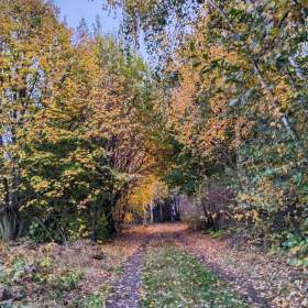 Foto inzerátu Prodej zahrady s chatou k celoročnímu užívání v Čáslavi