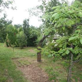 Foto inzerátu Prodej zahrady s chatou k celoročnímu užívání v Čáslavi