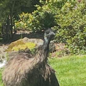 Fotka k inzerátu Prodám  / 19388821