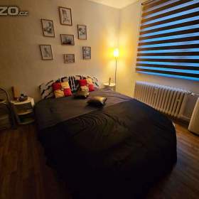 Foto inzerátu MÍŠA - Mazlivá kočička a zároveň divoká tygřice