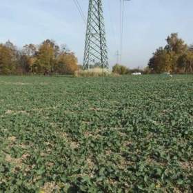 Foto inzerátu Orná půda O.- Bartovice, cca 25.000m2, rovina... Cena 59 Kč/m2.
