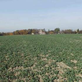 Foto inzerátu Orná půda O.- Bartovice, cca 25.000m2, rovina... Cena 59 Kč/m2.