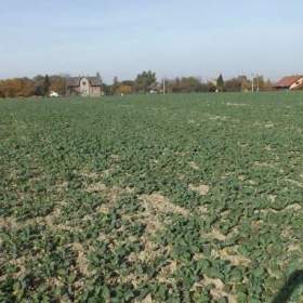 Foto inzerátu Orná půda O.- Bartovice, cca 25.000m2, rovina... Cena 59 Kč/m2.