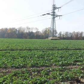 Foto inzerátu Orná půda O.- Bartovice, cca 25.000m2, rovina... Cena 59 Kč/m2.