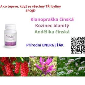 STOP STRESŮM,ÚZKOSTEM a jako bonus ZPOMALENÍ PROCESŮ STÁRNUTÍ VÍCE ENERGIE / 19705527
