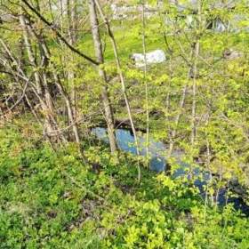 Foto inzerátu Stavební pozemek Kunčice pod Ondřejníkem, cca 1.550m2, elektřina na pozemku.
