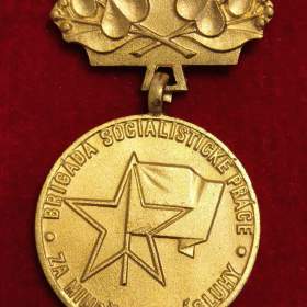 Odznak BSP - Za mimořádné zásluhy / 19722501