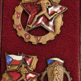 Odznaky tělesné zdatnosti / 19723763