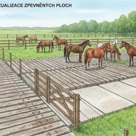 🚜 CESTA, KTERÁ PŘEŽIJE VŠECHNO! (A VYPADA SKVĚLE) / 19732828