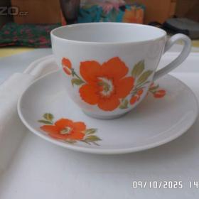 Starý porcelán za babku / 19745296