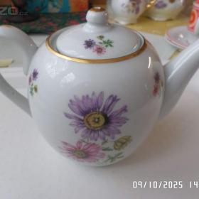 Foto inzerátu Starý porcelán za babku